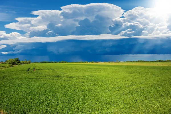 Гарні Кумулятивні Хмари Блакитному Небі Заливним Дощем Над Сільським Ландшафтом — стокове фото