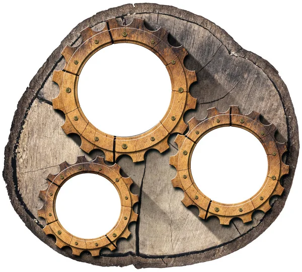 Tre Kugghjul Trä Kugghjul Ett Tvärsnitt Trädstam Med Kopieringsutrymme Vit — Stockfoto
