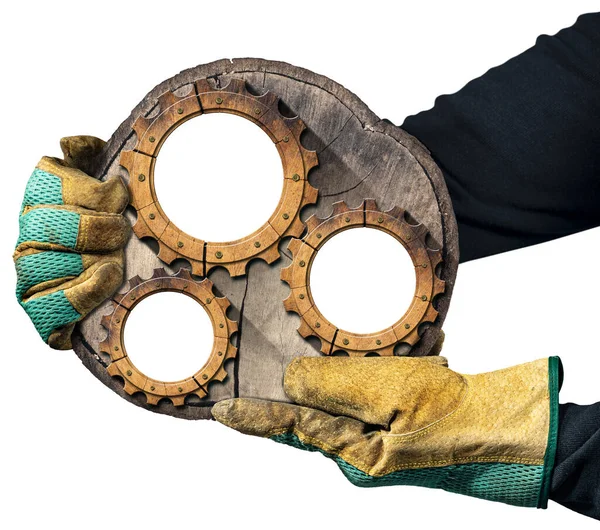 Χέρια Προστατευτικά Γάντια Εργασίας Που Συγκρατούν Διατομή Κορμού Δέντρου Τρία — Φωτογραφία Αρχείου