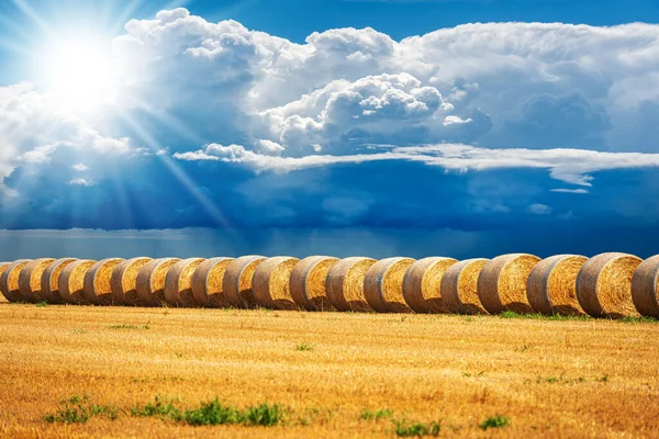 Güneşli Bir Yaz Gününde Altın Saman Balyaları Arka Planda Kümülüs — Stok fotoğraf