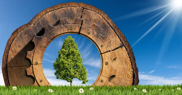 Schnitt Eines Baumstammes Mit Hölzernem Zahnrad Auf Einer Grünen Wiese — Stockfoto