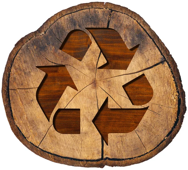 Símbolo Reciclaje Madera Sección Transversal Tronco Árbol Con Símbolo Reciclaje — Foto de Stock