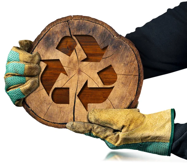 Fából Készült Újrahasznosító Szimbólum Kesztyűs Kéz Amely Egy Törzsének Keresztmetszetét — Stock Fotó