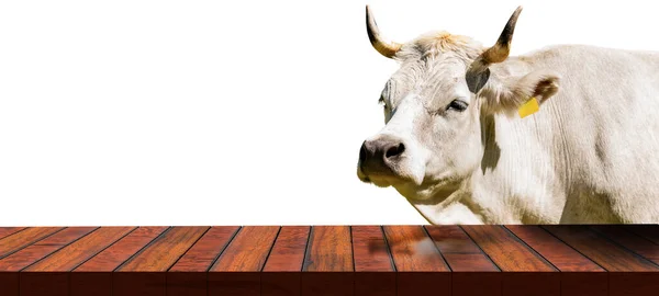 Primo Piano Tavolo Legno Vuoto Esposizione Prodotti Una Vacca Latte — Foto Stock