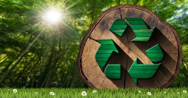 可持续资源和零废物概念 树干的横截面 树干上有木制的回收利用标志 绿色草地上有菊花 背景上有绿色森林 — 图库照片