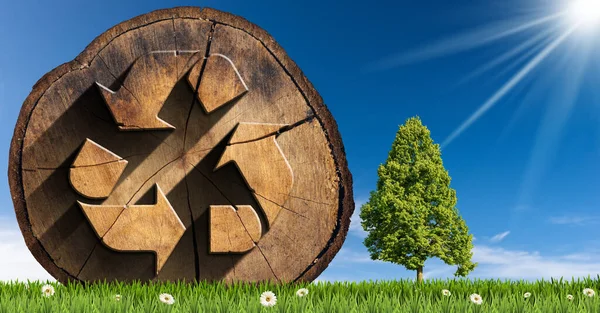 Hållbara Resurser Och Nollavfall Tvärsnitt Trädstam Med Trä Återvinningssymbol Grön — Stockfoto