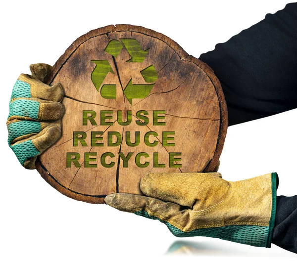 Gloved Hands Holding Cross Section Tree Trunk Recycle Symbol Text — Stock Photo, Image