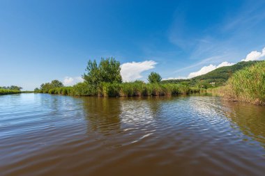 Katliamiuccoli Gölü (Lago di Massaciuccoli), Lucca ili, Toskana, Versilia, İtalya, güney Avrupa 'da yeşil sazlıklar, doğa rezervi ve doğal yapısına sahiptir..