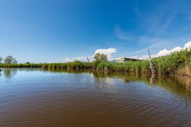 Katliam Gölü (Lago di Massaciuccoli), Lucca ili, Toskana, Versilia, İtalya, güney Avrupa 'da yeşil sazlıklar, doğa rezervi ve doğal yapısına sahiptir..