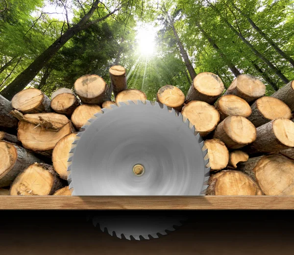 Close-up of a metal circular saw blade in motion with a pile of pine tree trunks and a green forest on background. Carpentry and Lumber industry concept.