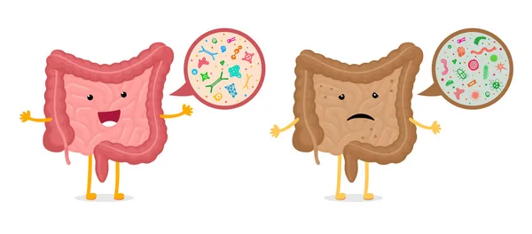 肠道特征细菌性放大比较 人类肠道吉祥物健康和不健康的微生物体 肠道坏和良好的菌群 消化性内脏器官益生菌群 Eps — 图库矢量图片