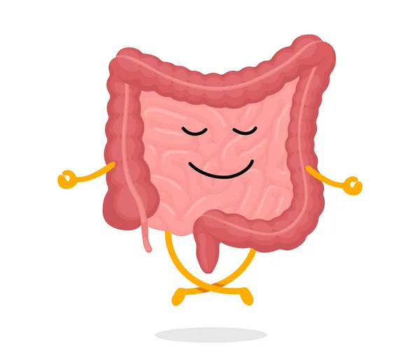 かわいい漫画健康的なヒト腸文字リラクゼーション瞑想 蓮のヨガポーズで面白い腸マスコット瞑想 漫画の腸の良好な状態 消化器内の臓器の腸穏やかなリラックスしたEps — ストックベクタ