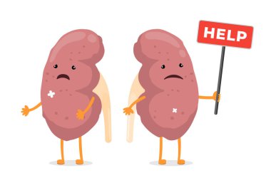 Böbrek hastalarının acı çektiği karikatür. Sağlıksız hasar üreme sistemi insan iç organ maskotu ve imzası var. Hastalık ve ağrı böbrekleri konsepti. Çizgi film vektörü resimleme yapar