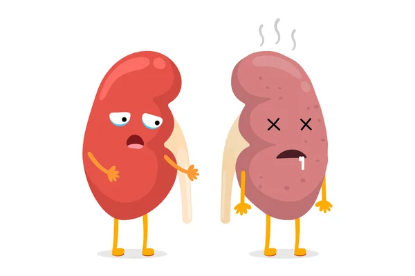 Kidneys Characters Healthy Unhealthy Comparison Human Kidney Good Bad Condition — Stock Vector