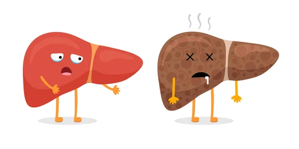 Karaciğer Karakteri Sağlıklı Sağlıksız Karşılaştırma Maskot Iyi Kötü Durumda Çizgi — Stok Vektör