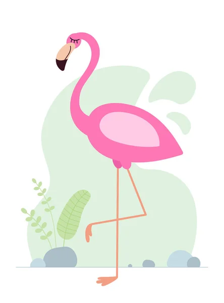 Flamingo Rosa Bonito Dos Desenhos Animados Desenho Bebê Africano Pássaro —  Vetores de Stock
