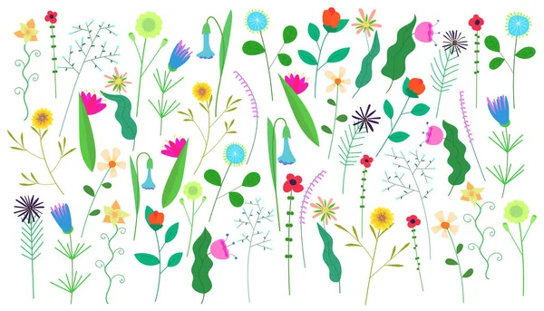 stock vector Floral meadow on white background. Drawing spring wild blooming flowers lawn. Herbal plants decoration. Delicate summer field wildflowers print. Botanical abstract blooms cover. Vector illustration