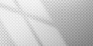 Beyaz iç mekan büyük bir pencereden gün ışığıyla aydınlatılıyor. Gölge ve bulanıklığın soyut karışımı sıcak bir sabah sahnesi yaratır. Tasarım, model veya poster arkaplanı için estetiğe hazır vektör.