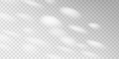 Güneş ışığı ve yaprak gölgeleri gri bir duvarda yumuşak bir desen oluşturur. Bulanık yeşillik ve doğa esinlenerek sakin bir sahne oluşturur. Temiz ürün gösterimi için ideal arkaplan.