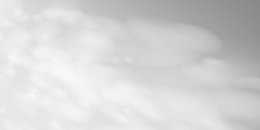 Güneş ışığıyla kaplanmış yumuşak duvar gölgesi. Beyaz arka planda pencere perdeleri var. Kozmetik sahneler, doğal ışık ürünü gösterimi veya soyut oda modeli için ideal.