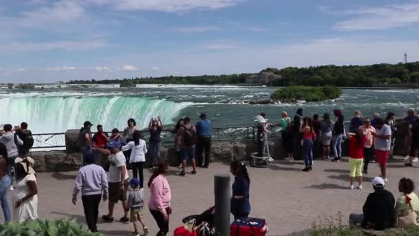 Niagara Şelalesi Nalı Turist Sezonu Insanlar Şelaleye Bakar Fotoğraf Çeker — Stok video