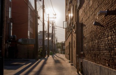 Eski tuğla binaların arka sokağında günbatımı - arka bahçe, elektrik hatları, ağaçlar, çöp tankı