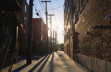 Eski tuğla binaların arka sokağında günbatımı - arka bahçe, elektrik hatları, ağaçlar, çöp tankı