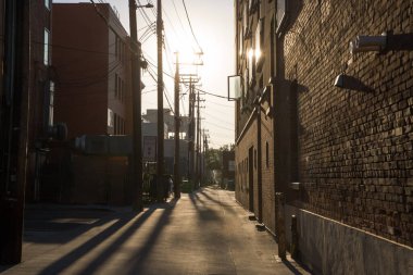 Eski tuğla binaların arka sokağında günbatımı - arka bahçe, elektrik hatları, ağaçlar, çöp tankı