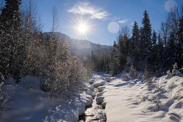 Sun day in mountains - sun beams, clear snow in forest. Winter amazing time - Christmas