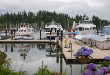 Summer trip across America - Stanley Park waterfront, downtown Vancouver, harbor with yachts and boats, skyscrapers and nature. Calm water of the bay.