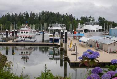 Summer trip across America - Stanley Park waterfront, downtown Vancouver, harbor with yachts and boats, skyscrapers and nature. Calm water of the bay.