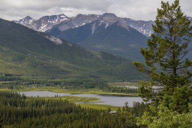  Active recreation in mountains and lake in Banff National Park, Alberta, Canada. Hiking, walks in the forest. Summer tourism. 