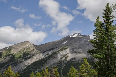 Yazın dağ manzarası - Rocky tepeleri, yeşil vadi kozalaklı ağaçlar ormanı ve bulutlu gökyüzü arkaplanı.
