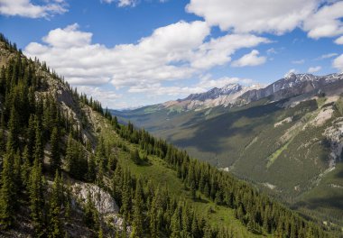 A natural slope on which wild sheep rest in the distance. Mountain wild life