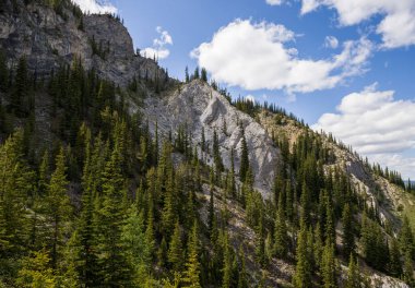 A natural slope on which wild sheep rest in the distance. Mountain wild life