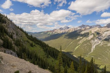 Natural landscape - Bow River Valley, Rocky Mountains, coniferous forest and beautiful sky with clouds. Summer tourism in the mountains