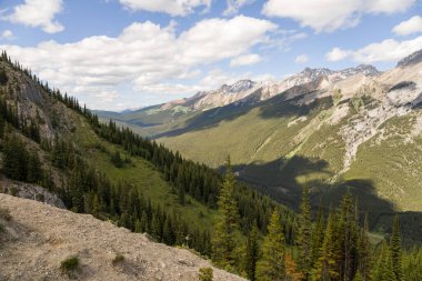 A natural slope on which wild sheep rest in the distance. Mountain wild life