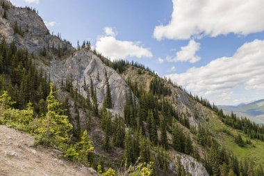 Mountain peaks of the Rocky Mountains in summer. Natural landscape background. Coniferous forest, remnants of snow. blue sky and clouds. Tourist season in Banff, Canada