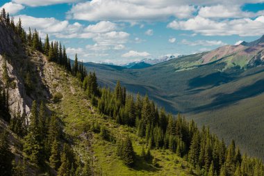 Mountain peaks of the Rocky Mountains in summer. Natural landscape background. Coniferous forest, remnants of snow. blue sky and clouds. Tourist season in Banff, Canada