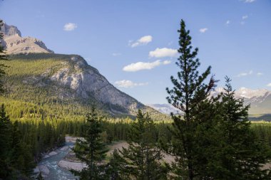 Natural landscape - Bow River Valley, Rocky Mountains, coniferous forest and beautiful sky with clouds. Summer tourism in the mountains
