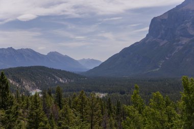 Natural landscape - Bow River Valley, Rocky Mountains, coniferous forest and beautiful sky with clouds. Summer tourism in the mountains