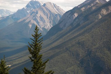 Güneşli bir günde güzel dağ manzarası - Banff İl Parkı, Rocky Dağları, Alberta, Kanada 'daki dağ zirveleri, güneş ışınları ve kozalaklı orman