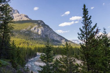 Bow Nehri Vadisi 'nin manzarası. Kanada Banff Ulusal Parkı 'nda turizm