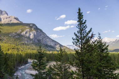 Güneşli bir günde güzel dağ manzarası - Banff İl Parkı, Rocky Dağları, Alberta, Kanada 'daki dağ zirveleri, güneş ışınları ve kozalaklı orman