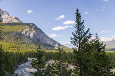 Bow Nehri Vadisi 'nin manzarası. Kanada Banff Ulusal Parkı 'nda turizm