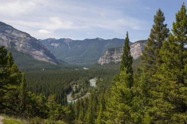 Dağ manzarası. Dağ vadisindeki nehirler ve ormanlar. Parlak güneş ışığıyla doğal manzara. Yüksek kayalık dağlar. Banff Ulusal Parkı, Alberta, Kanada