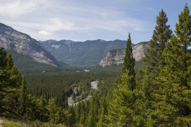 Bow Nehri Vadisi 'nin manzarası. Kanada Banff Ulusal Parkı 'nda turizm