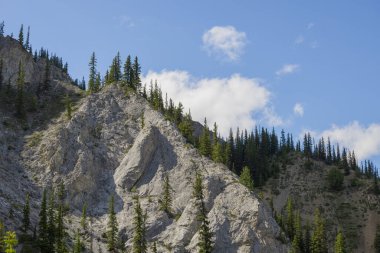 Güneşli bir günde güzel dağ manzarası - Banff İl Parkı, Rocky Dağları, Alberta, Kanada 'daki dağ zirveleri, güneş ışınları ve kozalaklı orman