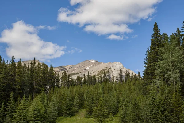 Die Schneebedeckten Gipfel Der Rocky Mountains Sind Eine Natürliche Landschaft — Stockfoto