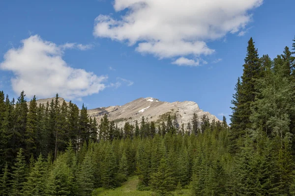 Schöne Berglandschaft Einem Sonnigen Tag Berggipfel Sonnenstrahlen Und Nadelwald Banff — Stockfoto